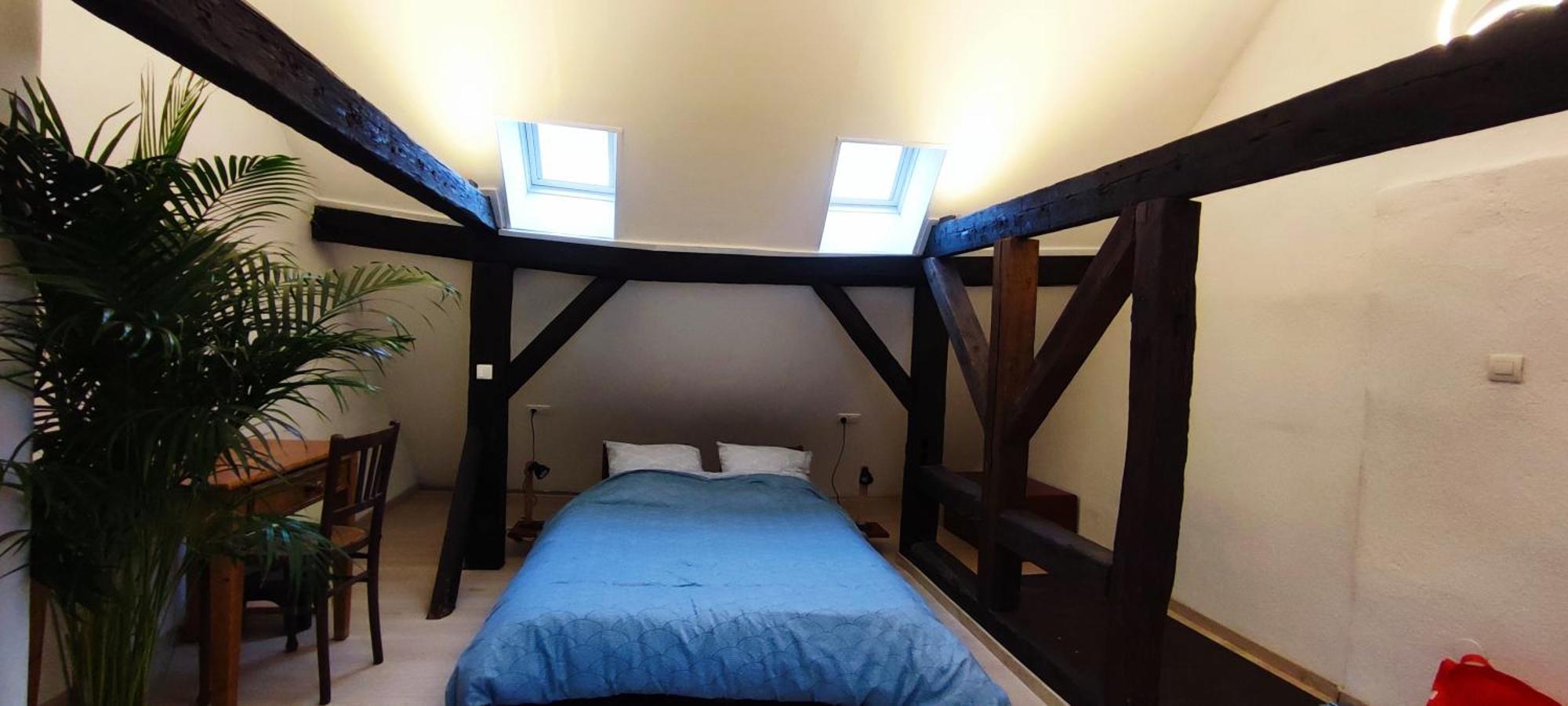 Haven Daire Strazburg Dış mekan fotoğraf