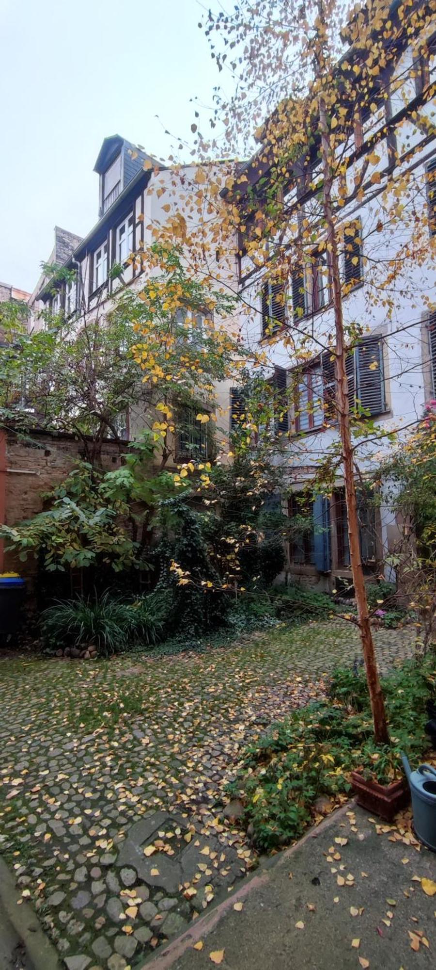 Haven Daire Strazburg Dış mekan fotoğraf
